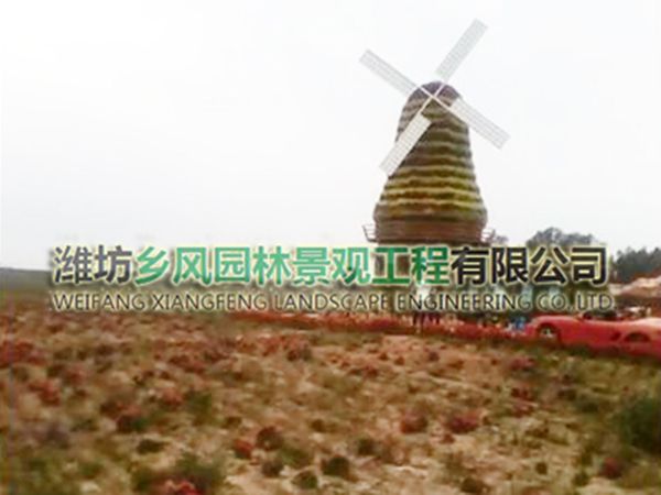 吉林遼源東豐縣花海.jpg